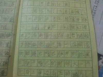 龍魚(yú)的選擇與鑒賞作文500字