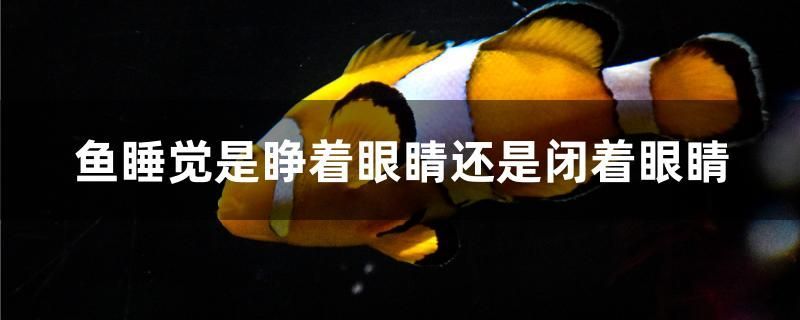 鄭州二手魚缸轉讓58同城網信息（鄭州回收二手魚缸上門回收）