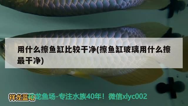 海城魚缸定做廠家地址電話 海城二手魚缸市場