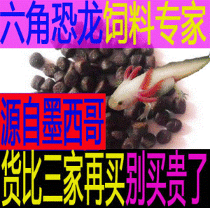 龍魚飼料哪個品牌好一點耐用：龍魚飼料品牌性價比排行，