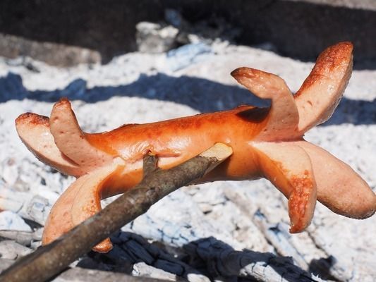 藍(lán)龍魚和金龍魚哪個(gè)好養(yǎng)一點(diǎn)，藍(lán)龍魚與金龍魚混養(yǎng)注意事項(xiàng)藍(lán)曼龍與金龍魚的區(qū)別
