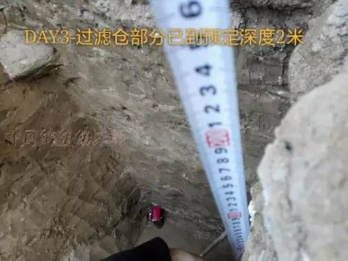 龍魚的養護與鑒賞作文怎么寫好看