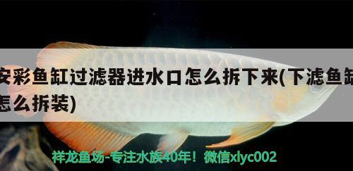 濟寧二手魚缸轉讓58同城群微信號（濟寧哪里有賣二手魚缸的）