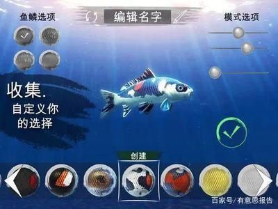 龍魚百科全書百度云