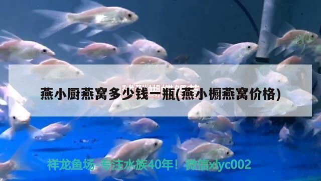 阜新魚缸訂做 阜新魚缸訂做店