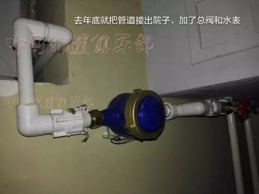 20厘米金龍魚一次吃多少