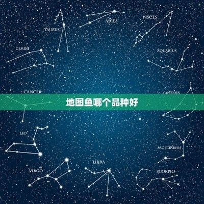 龍魚顏色變白怎么回事：龍魚顏色變白，探尋背后的原因與應對之策
