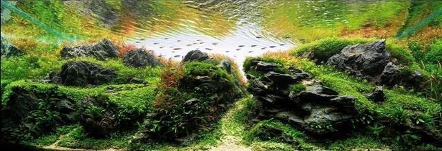 魚缸玻璃爛了怎么換（魚缸玻璃裂開了可以修好嗎）