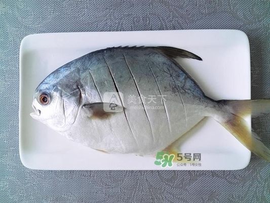 魚缸里能放吊蘭花嗎?(魚缸里能放吊蘭花嗎好嗎)