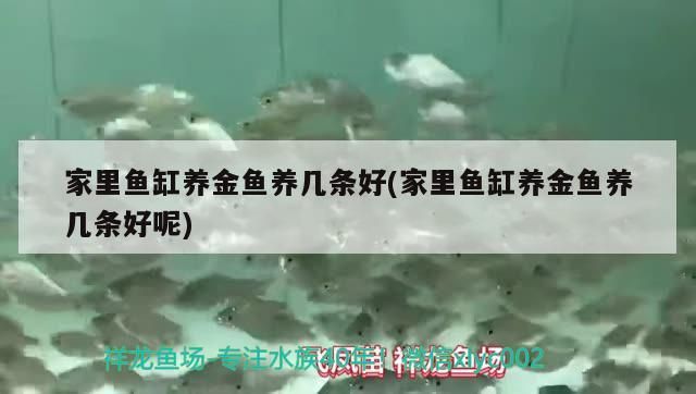 魚缸過濾材料順序圖片大全（魚缸過濾材料順序圖片大全圖解） 魚缸過濾材料順序圖片大全（魚缸過濾材料順序圖片大全圖解） 龍魚百科 第2張