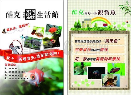 紅帝王雷龍魚怎么飼養的 龍魚百科 第2張 紅帝王雷龍魚怎么飼養的 紅帝王雷龍魚怎么飼養的 龍魚百科 第2張