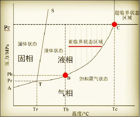 金龍魚尾巴開叉怎么回事