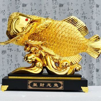 家里養(yǎng)一條龍魚好不好風(fēng)水呢