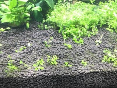 菏澤二手魚(yú)缸市場(chǎng)在哪里(菏澤二手魚(yú)缸市場(chǎng)在哪里賣(mài))