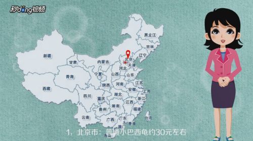 白化巴西龜品種的市場價(jià)格，白化巴西龜市場價(jià)格相對(duì)較高，