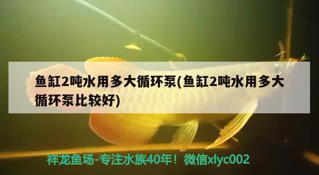 水族魚缸怎么安裝視頻 水族館魚缸怎么安裝