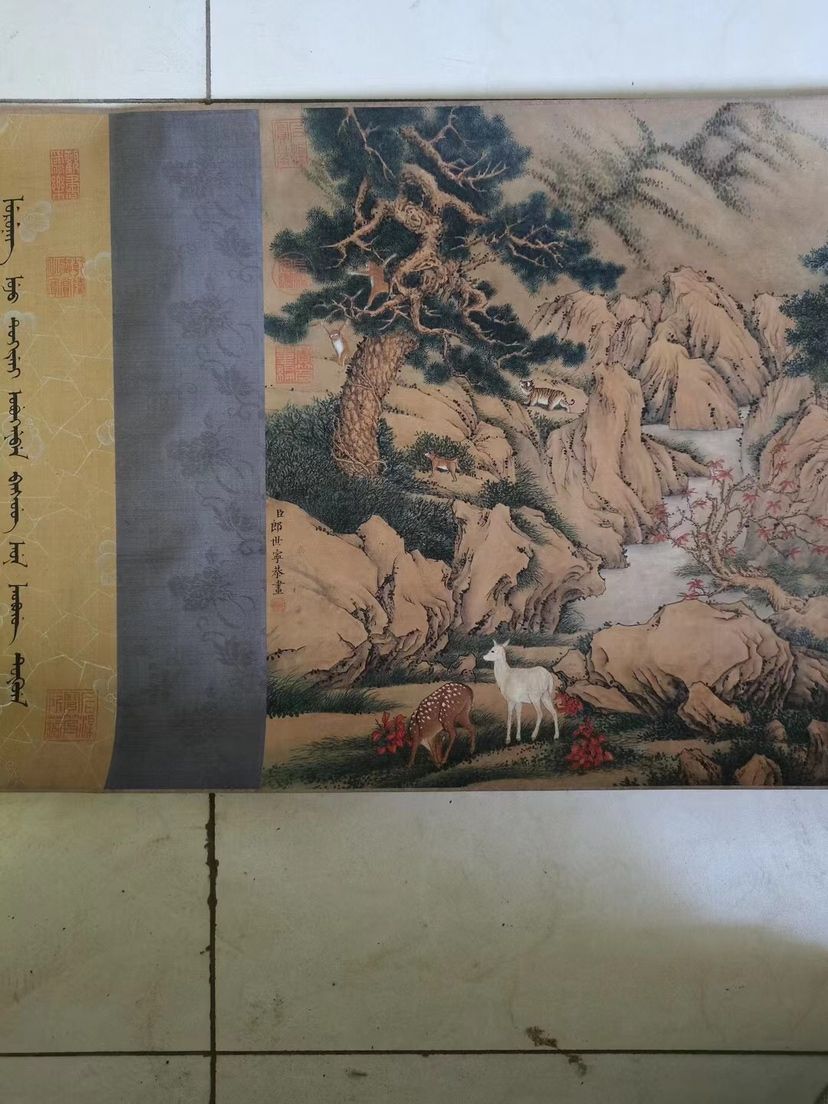 金龍魚和雷龍魚那個好看點（金龍魚和雷龍魚可以混養(yǎng)嗎）