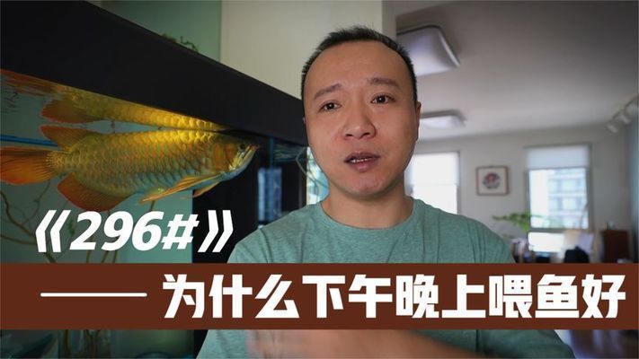 龍魚知識講座內(nèi)容