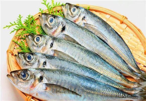 紅龍吃金魚可以幫助發色嗎 紅龍吃金魚可以幫助發色嗎 龍魚百科 第2張