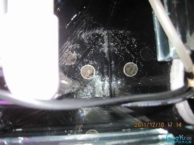 龍魚(yú)病了幾天換下水管