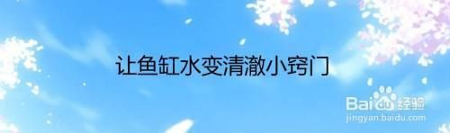 怎么讓魚缸的水變得清澈，如何使魚缸的水變得清澈 怎么讓魚缸的水變得清澈，如何使魚缸的水變得清澈 魚缸百科 第6張