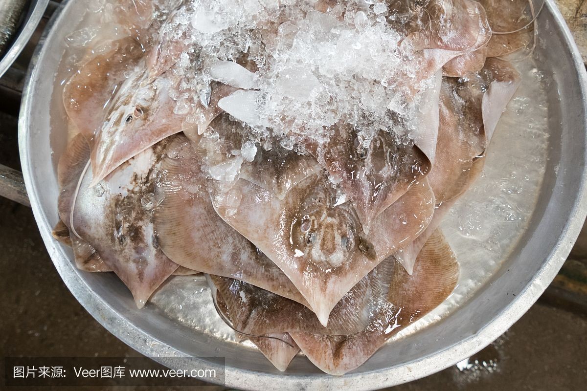 魟魚能加鹽嗎怎么做：關于魟魚是否能加鹽，存在一定的爭議，[需手動填充]魚能加鹽嗎