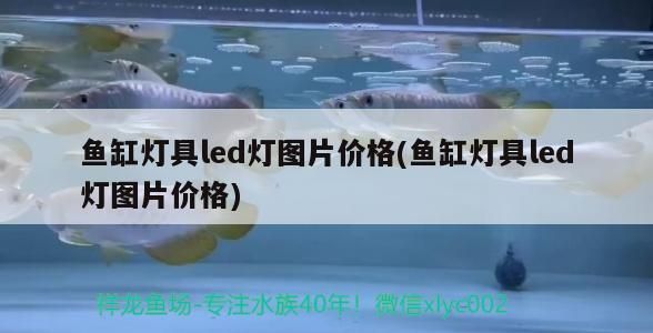 魚缸增氧泵進(jìn)水了怎么修理視頻講解 魚缸增氧泵進(jìn)水了怎么修理視頻講解教程 魚缸增氧泵進(jìn)水了怎么修理視頻講解 魚缸增氧泵進(jìn)水了怎么修理視頻講解教程 魚缸百科 第3張