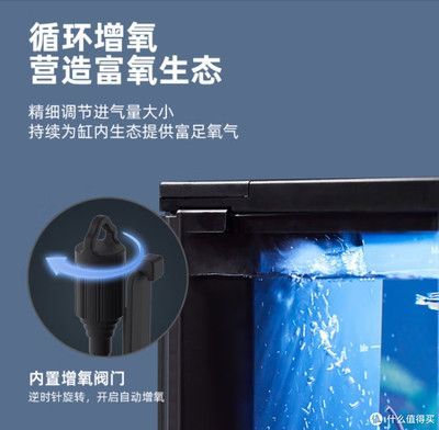 寵小到大（PAWGETHER）魚缸，pawgether寵小到大魚缸的特點