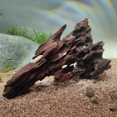 養(yǎng)魟魚放沉木好嗎？：養(yǎng)魟魚放沉木影響主要取決于沉木的種類和魚缸的大小