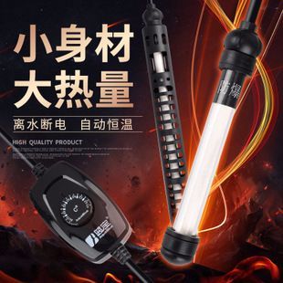 龍魚缸需要什么設備，龍魚缸內植物選擇指南