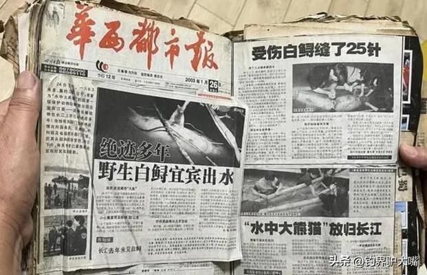 象鼻魚電場感知的進化歷程，象鼻魚電場感知與捕食策略象鼻魚電場感知與捕食策略