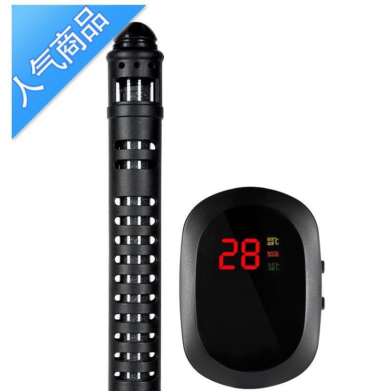 龍魚怎么樣養活的快：龍魚養護指南，開啟水下貴族的優雅生活