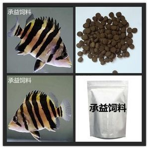 泰國虎魚繁殖飼料安全性評估，泰國虎魚繁殖飼料安全性分析
