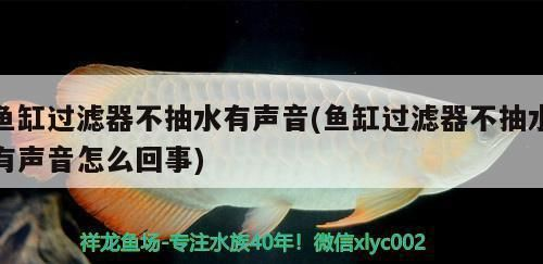 蘇虎苗體表損傷識別，蘇虎苗體表損傷的識別