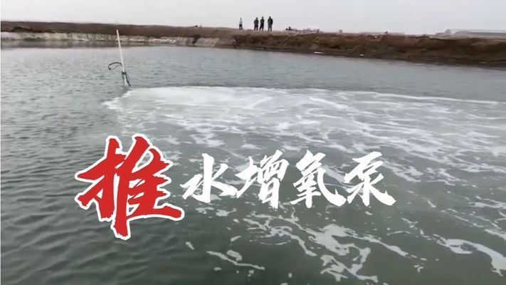 虎魚(yú)高溫期增氧設(shè)備推薦，藍(lán)寶增氧泵適用場(chǎng)景