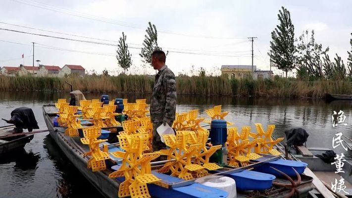 虎魚(yú)高溫期增氧設(shè)備推薦，藍(lán)寶增氧泵適用場(chǎng)景