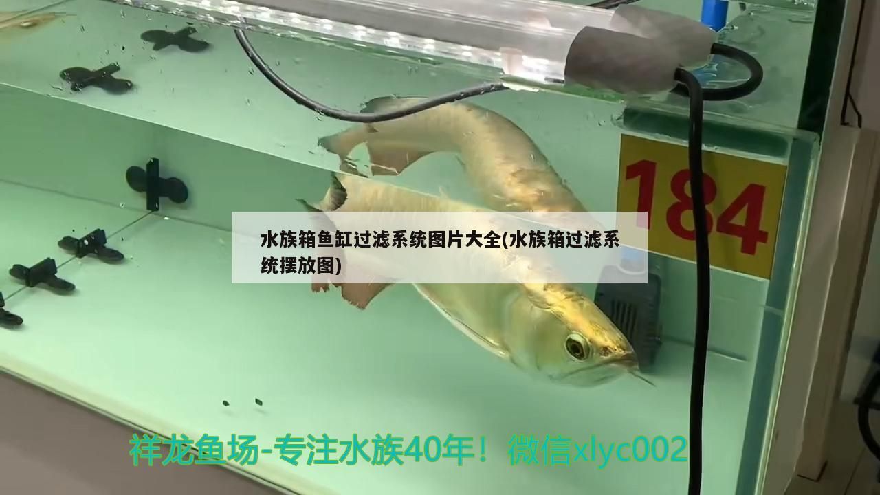 邯鄲魚缸生產廠家有哪些廠子（邯鄲魚缸生產廠家有哪些廠子招工）