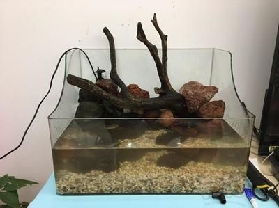 龍魚缸改水陸缸，龍魚缸改水陸缸日常維護技巧水陸缸日常維護技巧