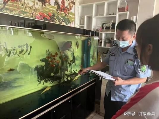 最好的龍魚飼料品牌排行榜前十名有哪些：探尋頂級(jí)龍魚喂養(yǎng)之選，最好的龍魚飼料品牌排行榜前十名