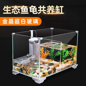 四紋虎混養水族箱過濾系統設計,四紋虎混養水族箱過濾系統 虎魚百科 第2張 四紋虎混養水族箱過濾系統設計,四紋虎混養水族箱過濾系統 四紋虎混養水族箱過濾系統設計,四紋虎混養水族箱過濾系統 虎魚百科 第2張