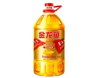 金龍魚怎么燒