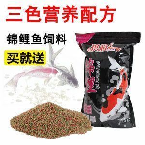 蘇虎魚混養食物選擇指南，蘇虎魚與蘇虎魚混養時的食物選擇需要考慮到混養水質管理