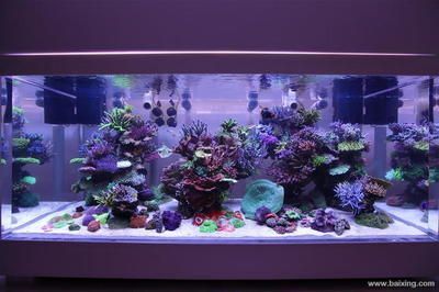 專業修理魚缸，魚缸維修后如何養護魚缸滲水常見原因及解決 專業修理魚缸，魚缸維修后如何養護魚缸滲水常見原因及解決 魚缸百科 第6張