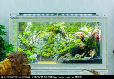 龍魚缸怎么改造成造景魚缸？
