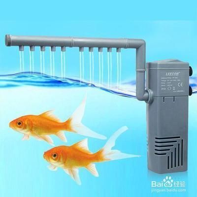 魚缸過濾器哪種最好最實用泡沫箱做魚缸沉降池，底缸過濾器如何維護？