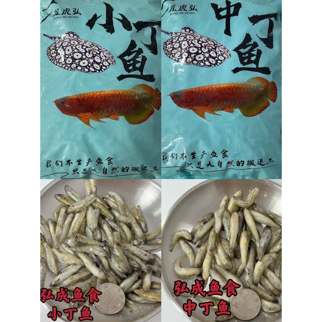 藍龍虎魚特殊飼料購買途徑，藍龍虎魚特殊飼料的購買途徑