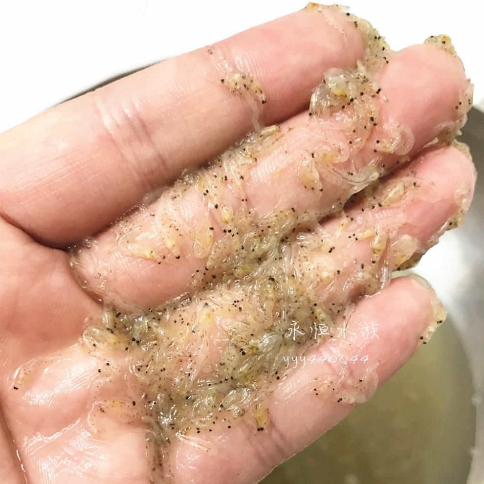 藍龍虎魚特殊飼料購買途徑，藍龍虎魚特殊飼料的購買途徑