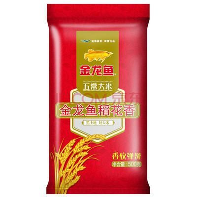 金龍魚最低價