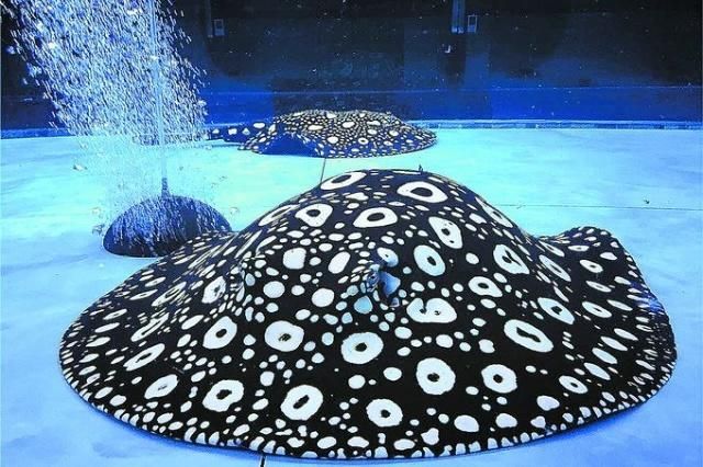 魟魚底砂用石頭能養嗎有毒嗎：魟魚可以使用底砂進行飼養，但需要注意的是底砂和維護非常重要
