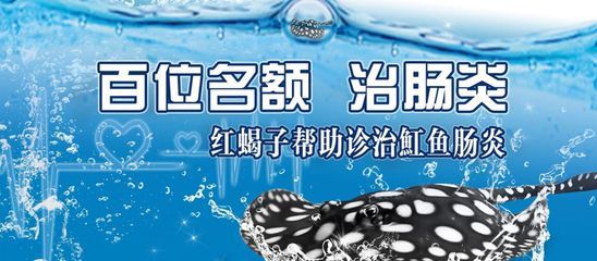 魟魚腸炎癥狀視頻：魟魚腸炎癥狀視頻信息僅供參考，[需手動填充]魚腸炎癥狀視頻信息